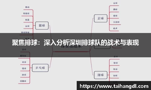 聚焦排球：深入分析深圳排球队的战术与表现